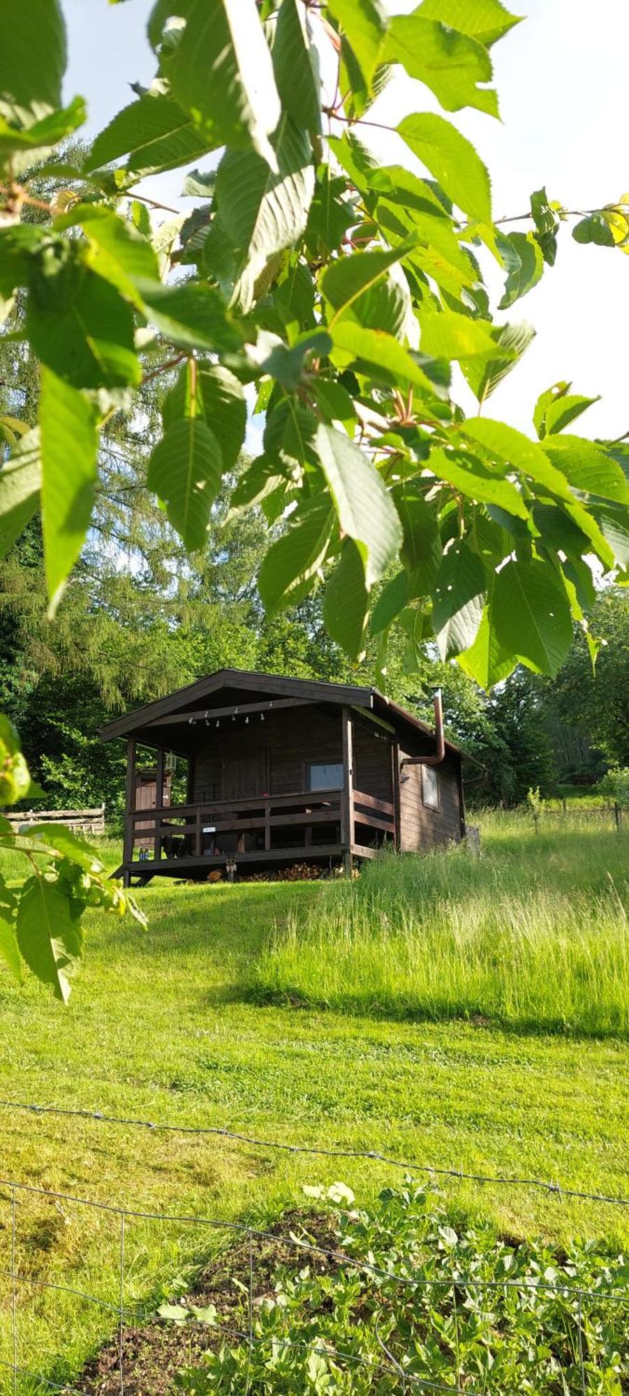 Chata Na Samote, Sumava Vrhavec エクステリア 写真