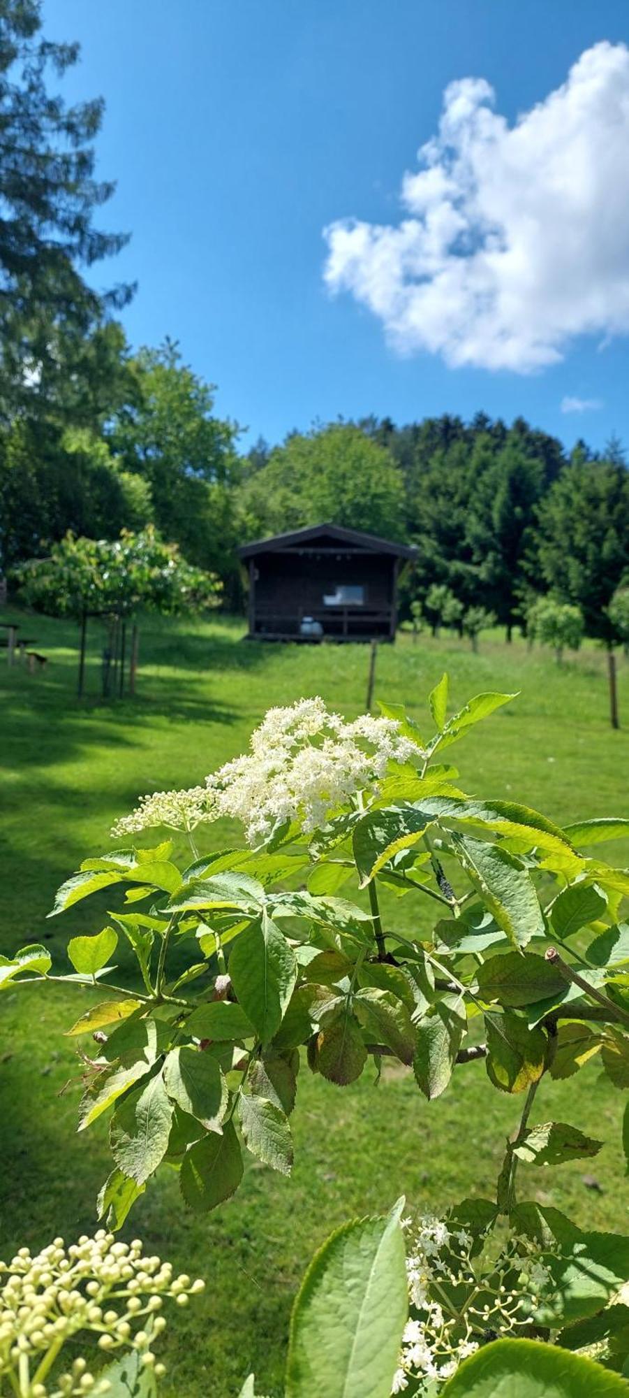 Chata Na Samote, Sumava Vrhavec エクステリア 写真