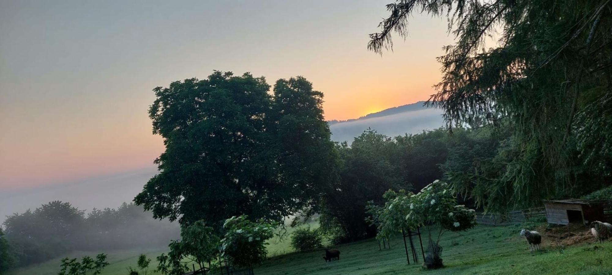 Chata Na Samote, Sumava Vrhavec エクステリア 写真